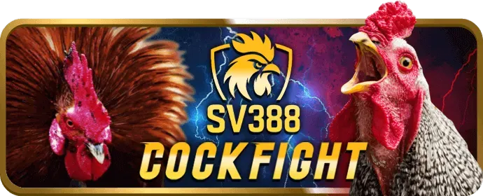 Cá cược thể thao P88